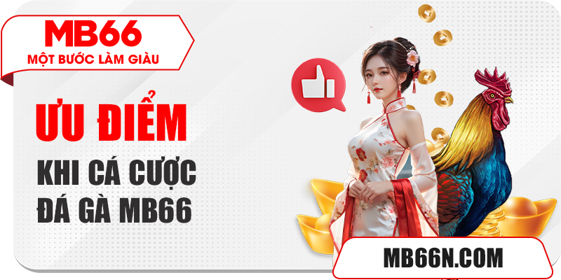 Ưu điểm khi cá cược đá gà Mb66