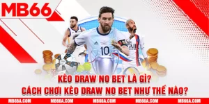 Kèo Draw No Bet Là Gì? Cách Chơi Kèo Draw No Bet Như Thế Nào?